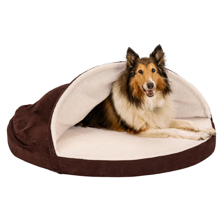 Burrow dog outlet bed wayfair